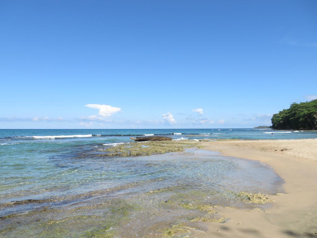 La Kukula Lodge Puerto Viejo de Talamanca 외부 사진