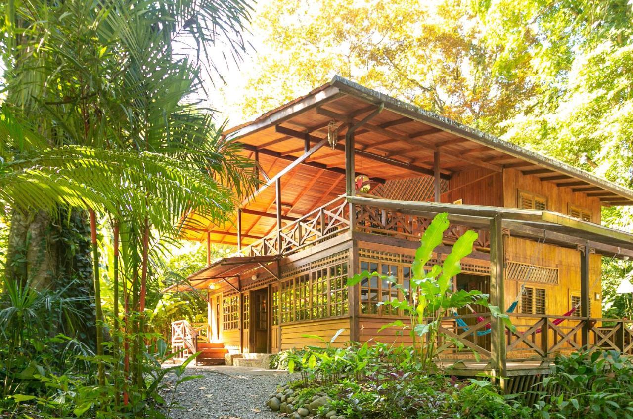 La Kukula Lodge Puerto Viejo de Talamanca 외부 사진